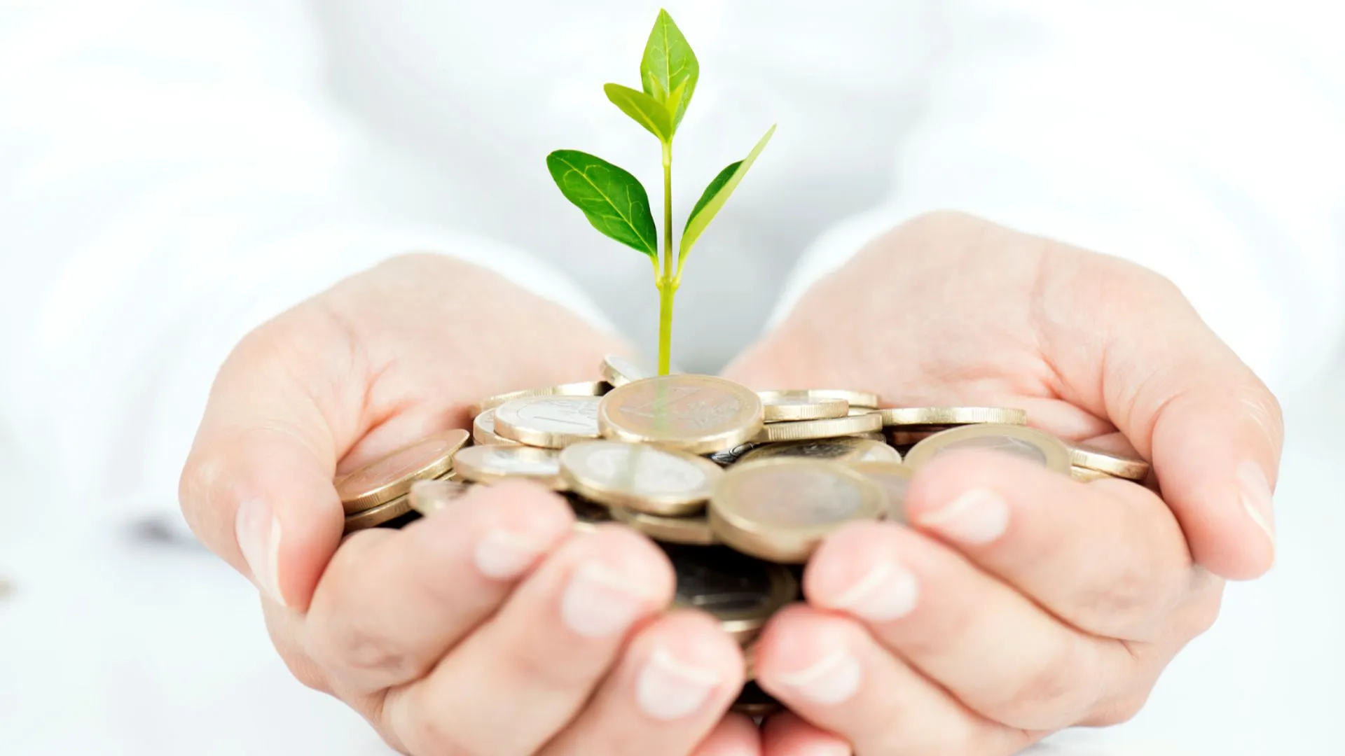 Informationsveranstaltung – Die Finanzierung der Handwerksbetriebe