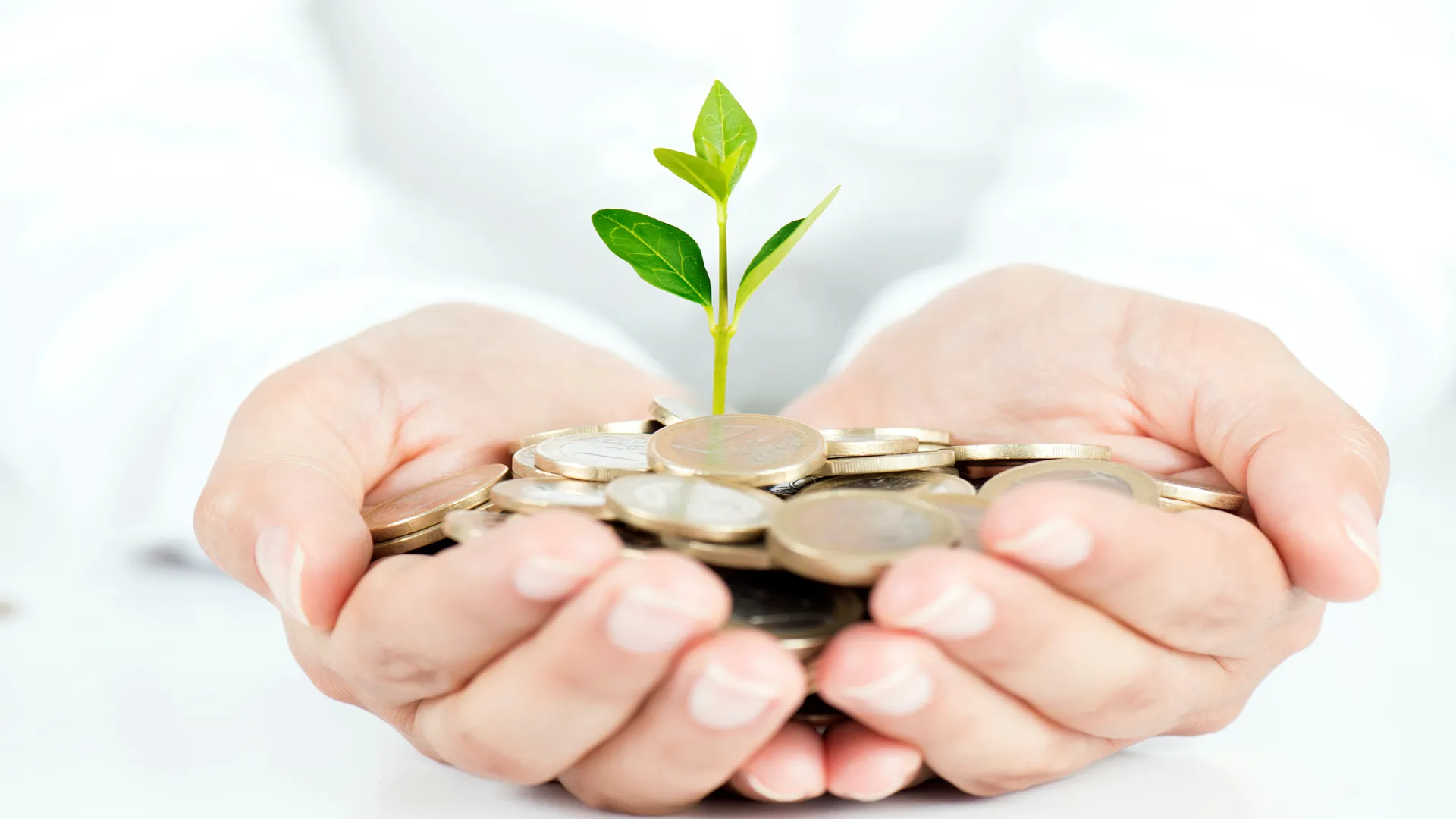 Einladung - 2. Auflage des Zyklus von Schulungen „Finanzierung von Handwerksbetrieben“ Einladung - 2. Auflage des Zyklus von Schulungen „Finanzierung von Handwerksbetrieben“