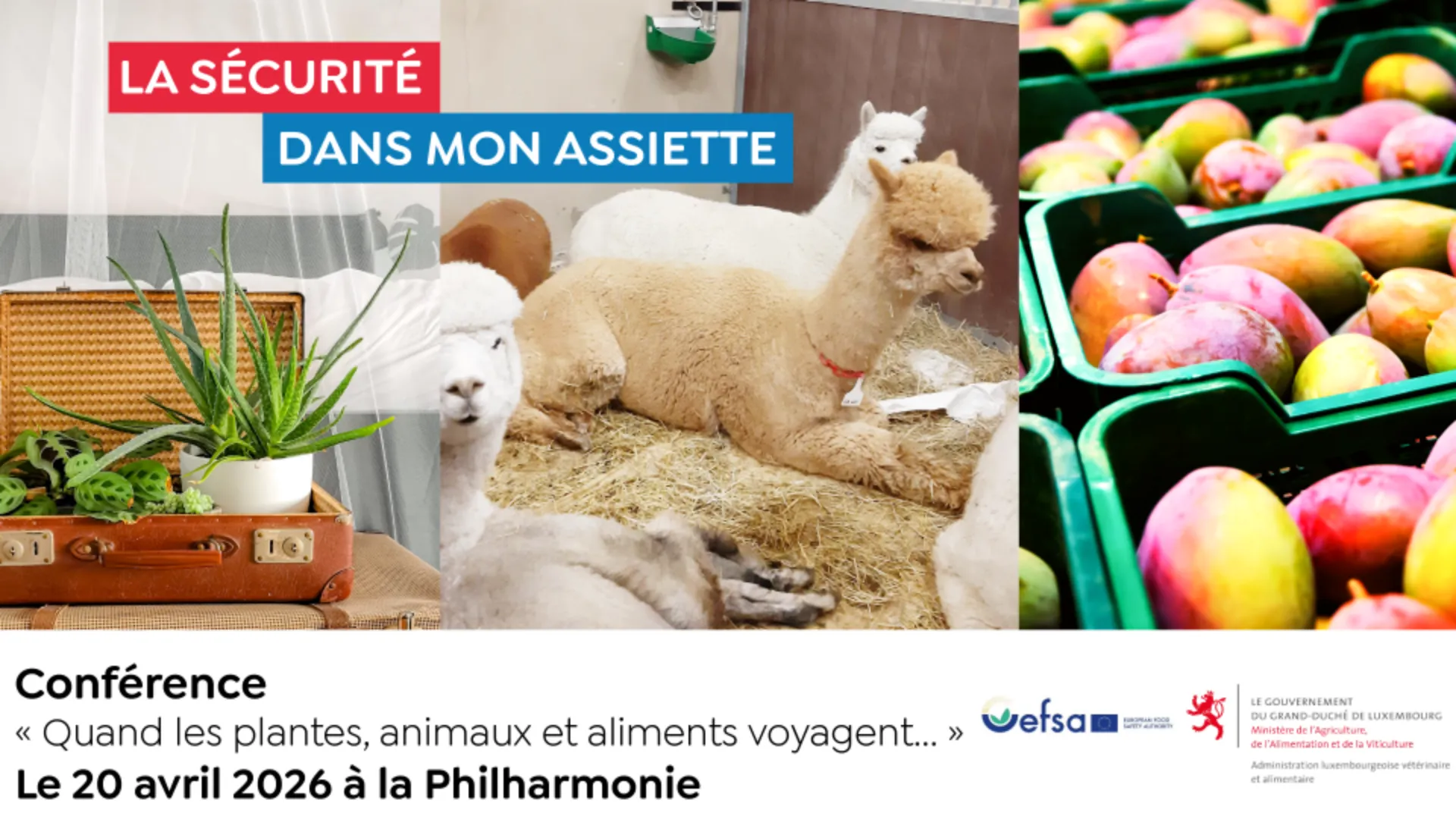 Conférence : La sécurité dans mon assiette 2026