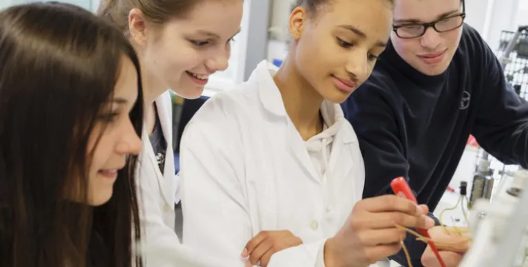 Etude apprentissage - Un parcours gagnant pour les entreprises et les apprentis avec des potentialités avérées pour développer des programmes duals à tous les niveaux d’enseignement