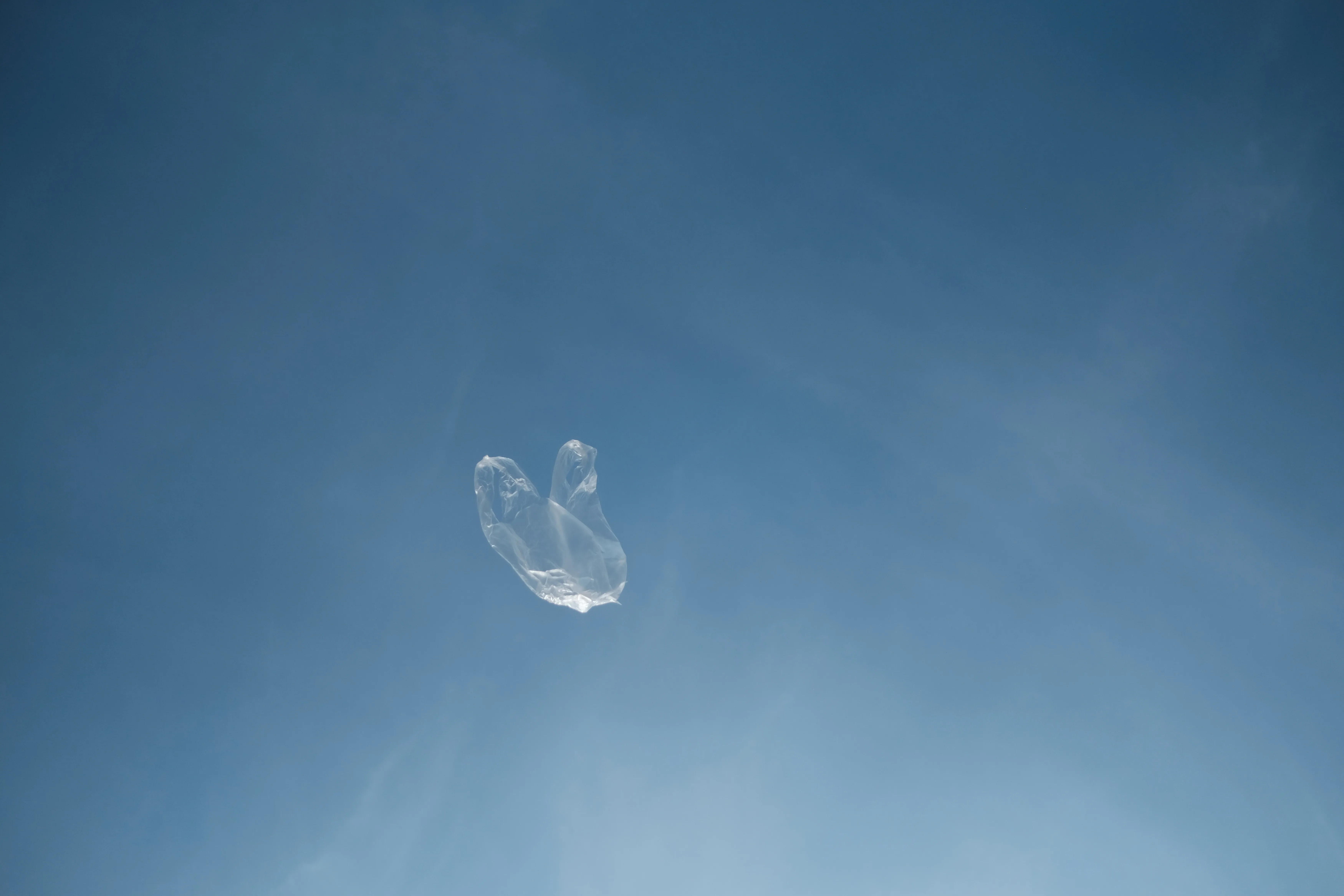 Sac plastic qui vole dans les airs Quels sacs mettre à disposition de vos clients ?