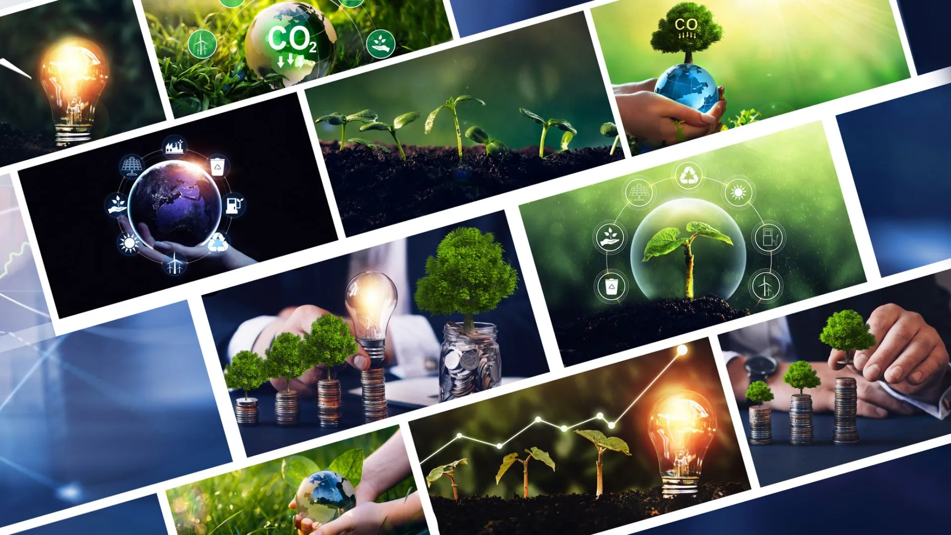 Sujets et services « durabilité » offerts aux entreprises artisanales Sujets et services « durabilité » offerts aux entreprises artisanales