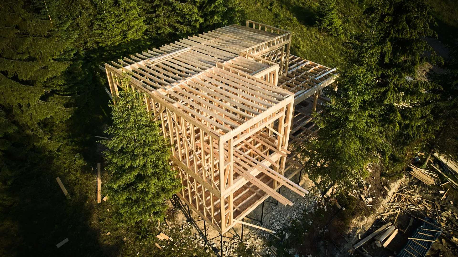 L’état de la forêt luxembourgeoise : quel enjeu pour les professionnels du bois ?